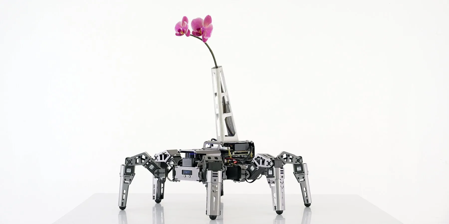 Robot de seis patas con una orquídea rosa en un jarrón alargado, visto de lado sobre una mesa blanca