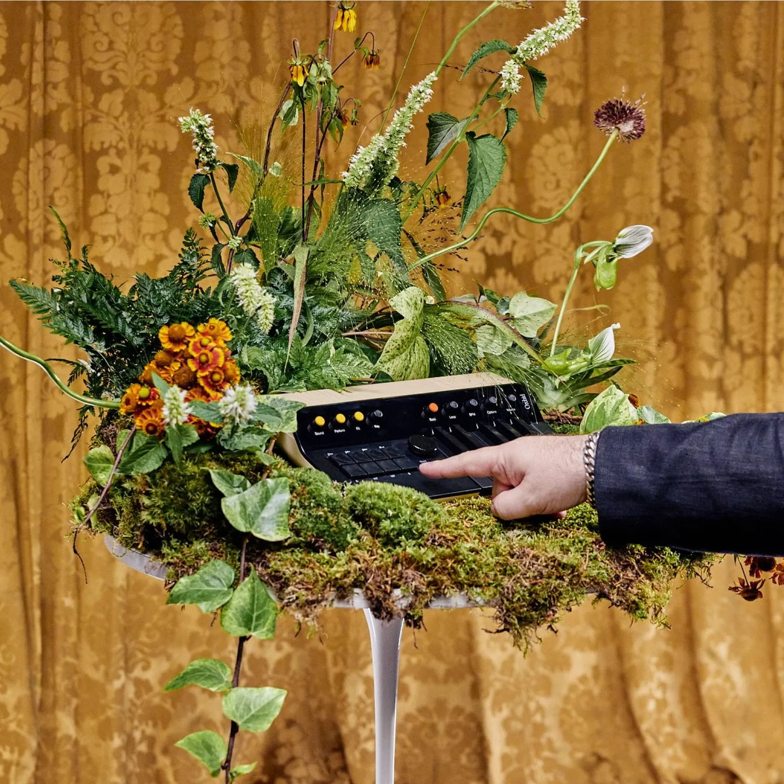 Una mano señala las teclas de Orchid, un teclado negro y crema rodeado de plantas, flores y musgo sobre una mesa, con un telón dorado detrás
