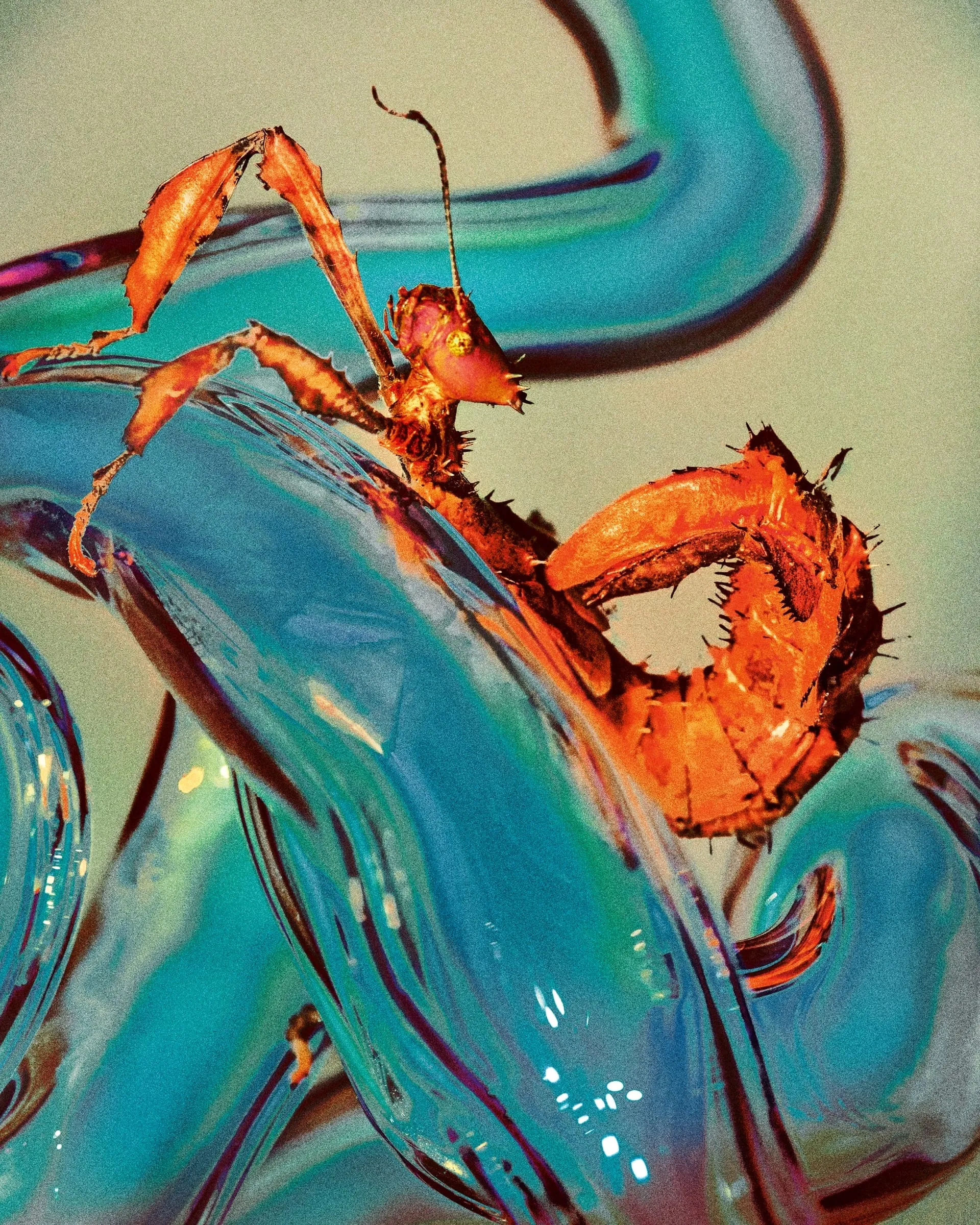 Una mantis de patas finas y espinosas, de color naranja, sobre tubos de cristal azul turquesa