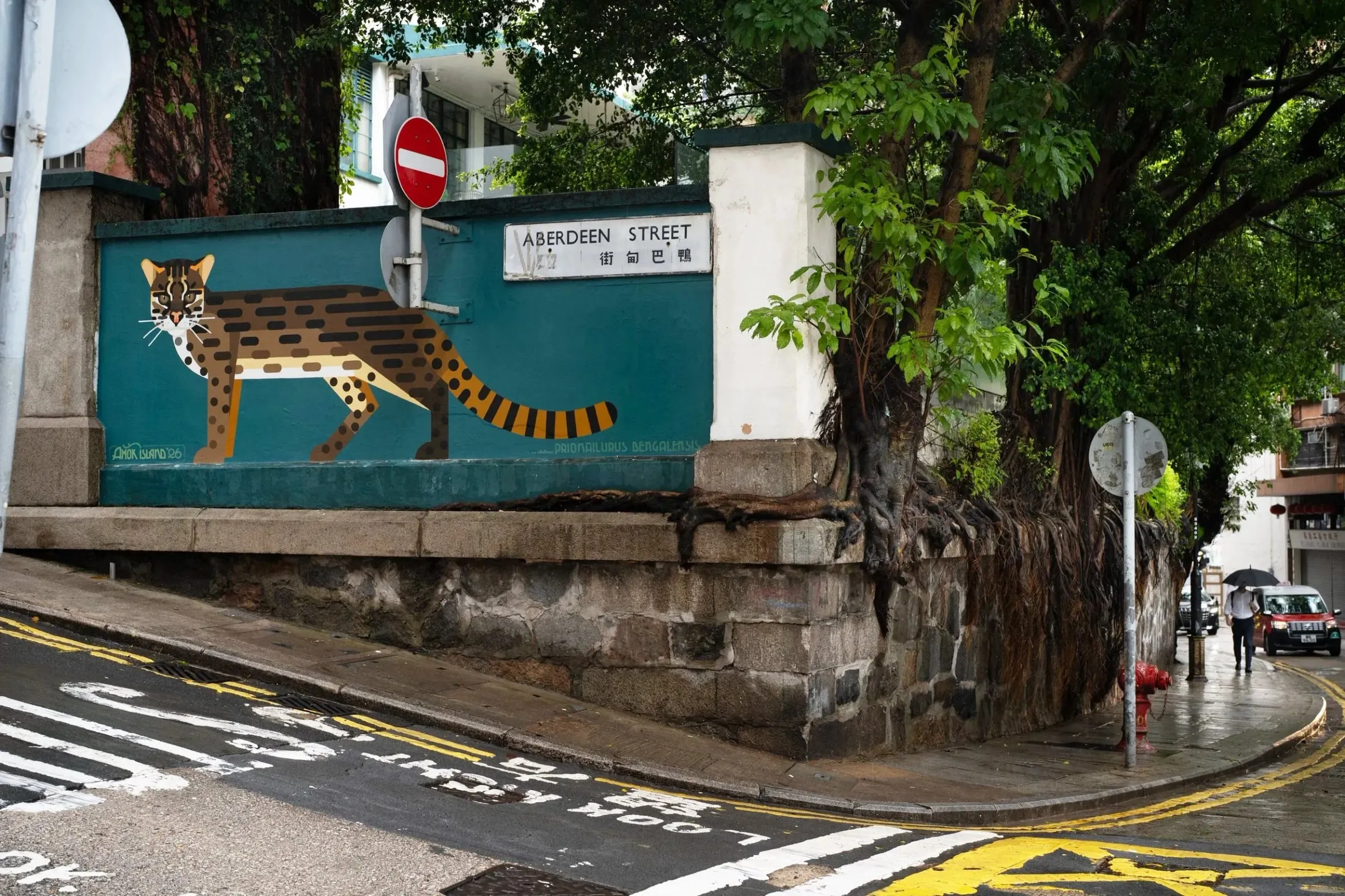 Gato leopardo de manchas naranjas sobre un muro azul verdoso en una calle de Hong Kong