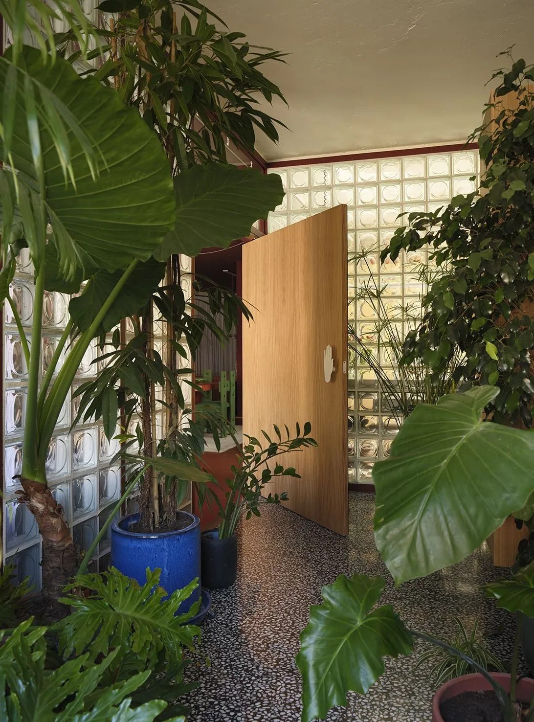 Entrada de Villa 2030 convertida en invernadero, con plantas, terrazo blanco y negro y una puerta de madera con tirador en forma de mano