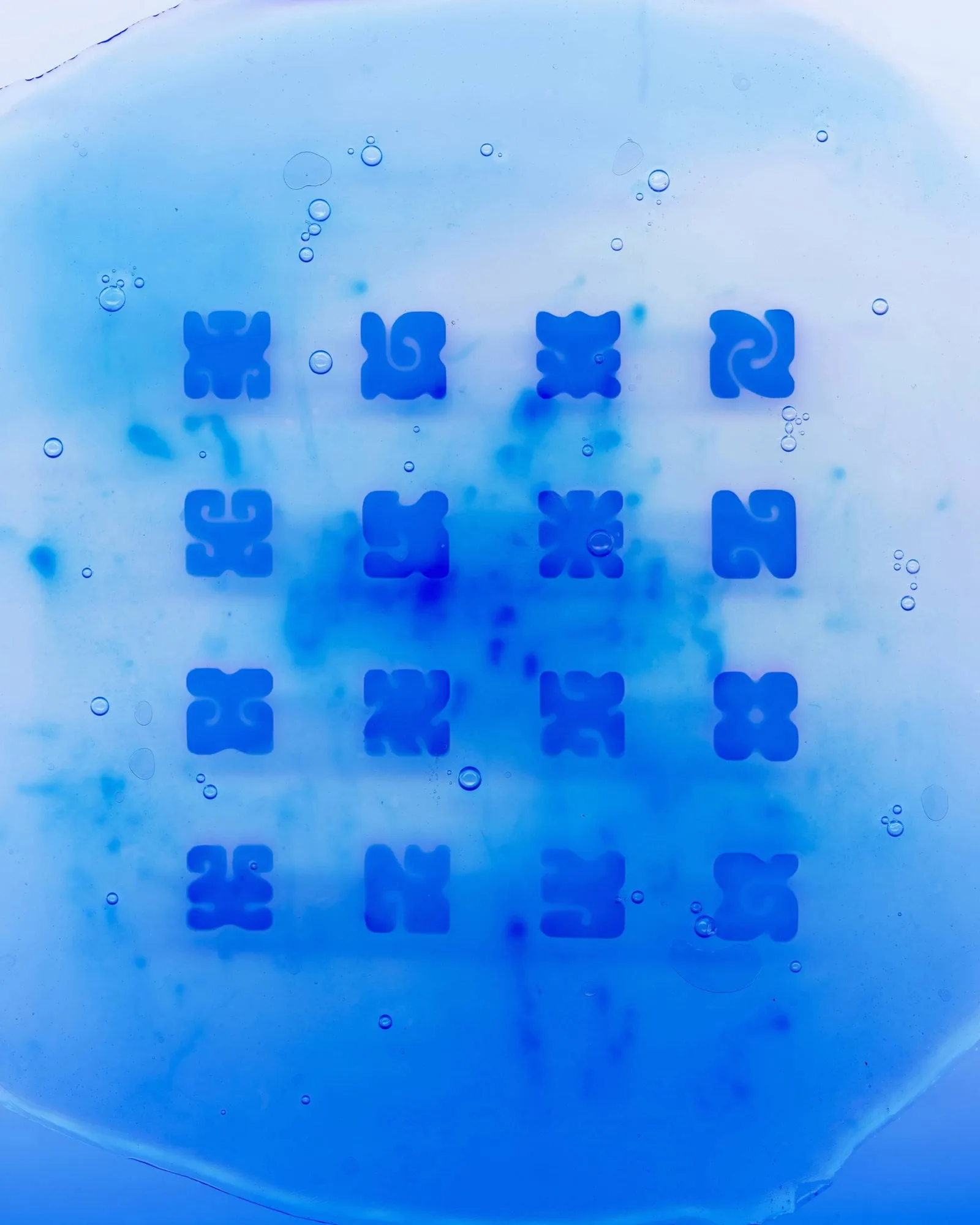 Una cuadrícula de dieciséis glifos azules impresos con cianotipia sobre una placa de agar, con pequeñas burbujas alrededor