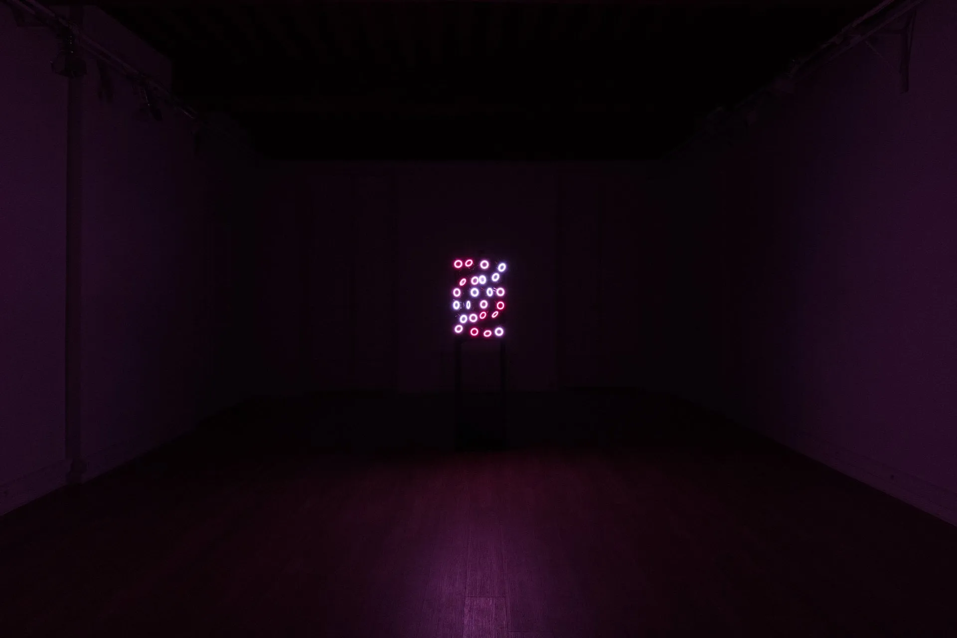 Panel de anillos de luz rosa y blanca flotando en una sala oscura, visto desde el fondo del espacio