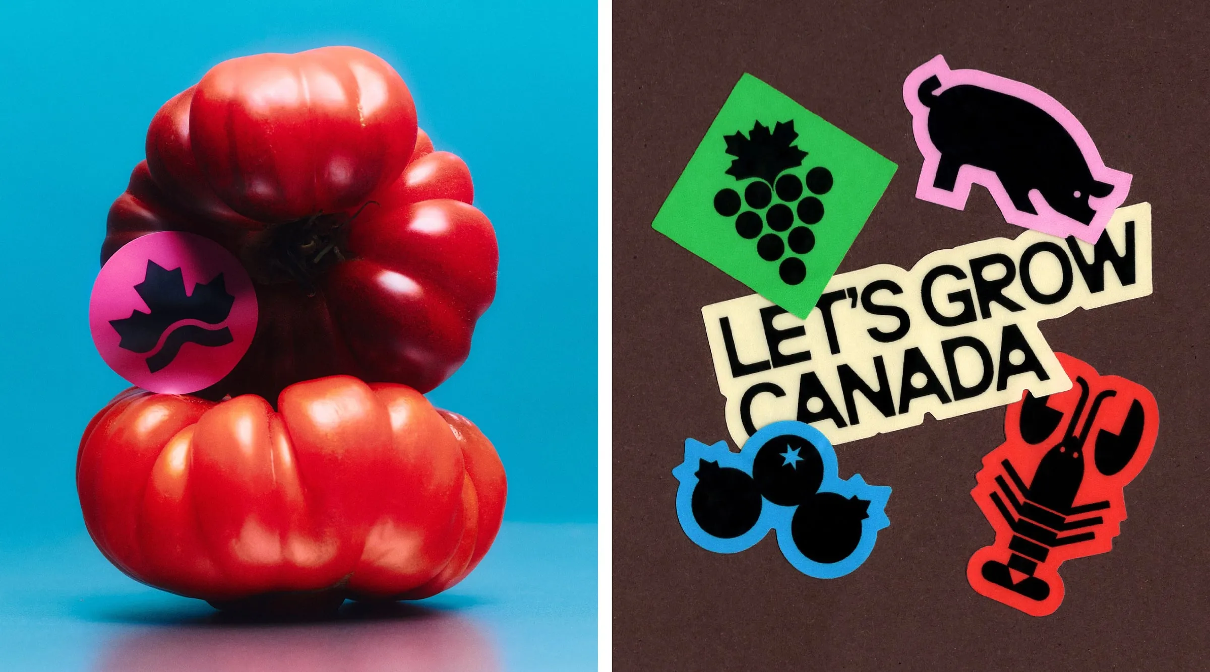 Dos fotografías: un tomate rojo grande con una pegatina rosa de hoja de arce, y varias pegatinas de iconos y del nombre del movimiento sobre cartón marrón