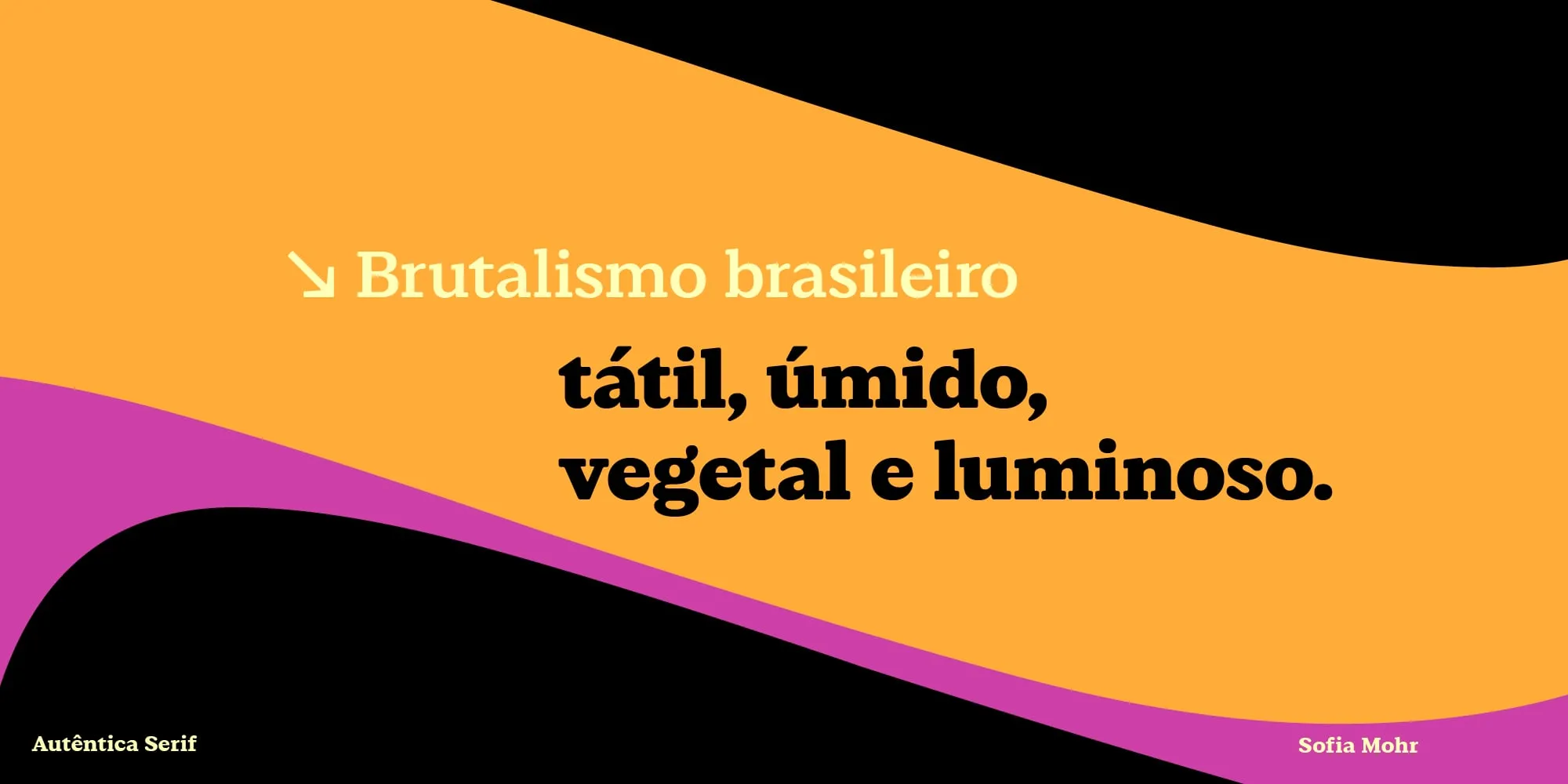 Las palabras «Brutalismo brasileiro» y, debajo, la descripción de ese estilo como húmedo, vegetal y luminoso, en letras negras sobre un fondo naranja y magenta