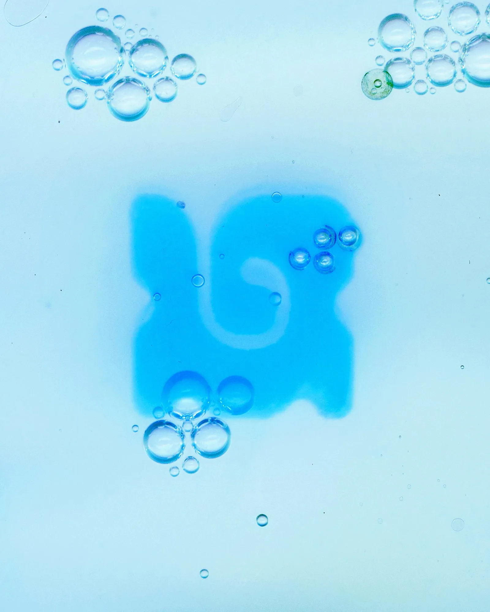 Detalle de dos glifos azules de la tipografía cianotipia sobre agar, con burbujas de aire alrededor formadas durante el revelado