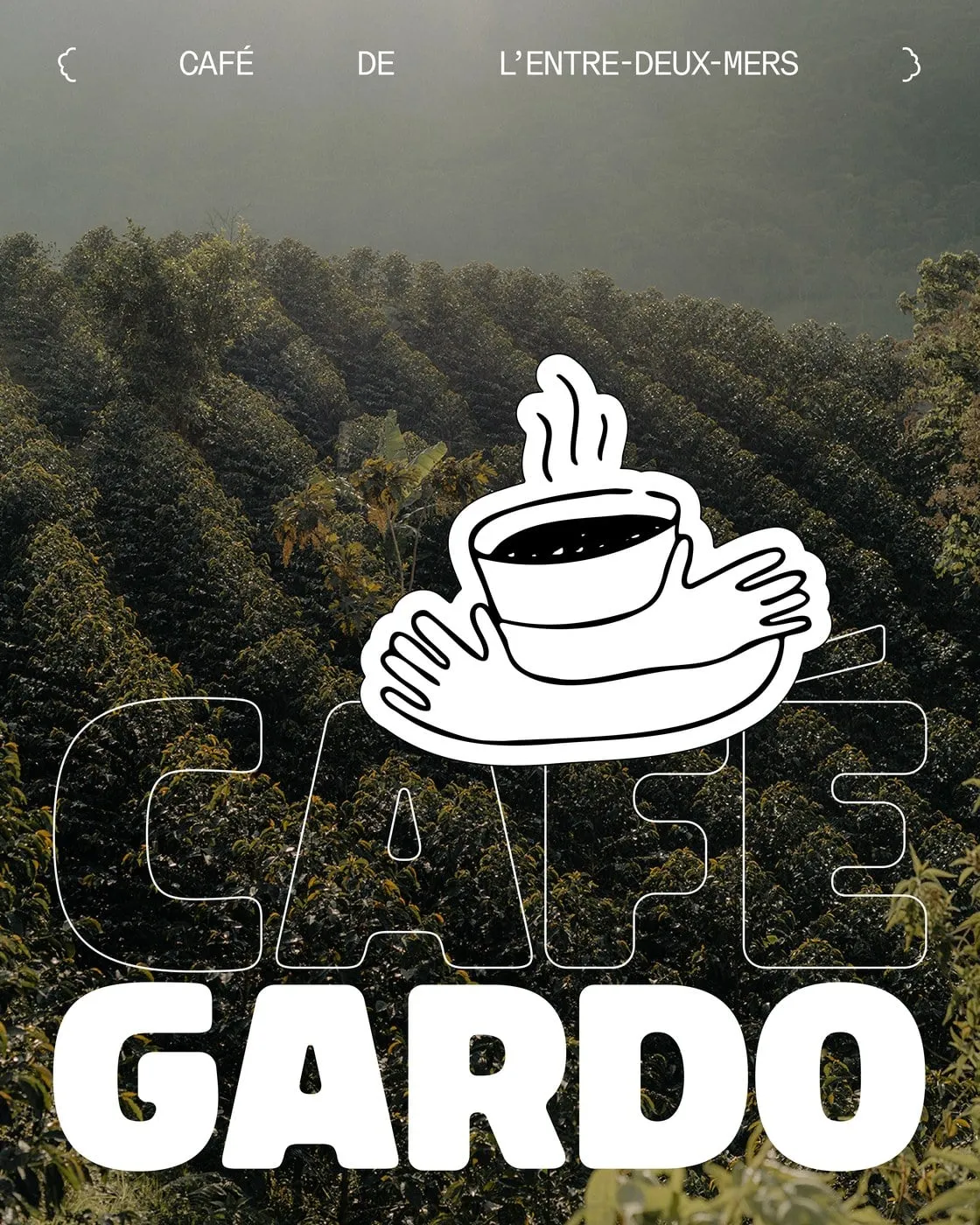 Plantación de café en ladera, con las hileras de arbustos bajo la niebla y el logotipo de Café Gardo en blanco encima