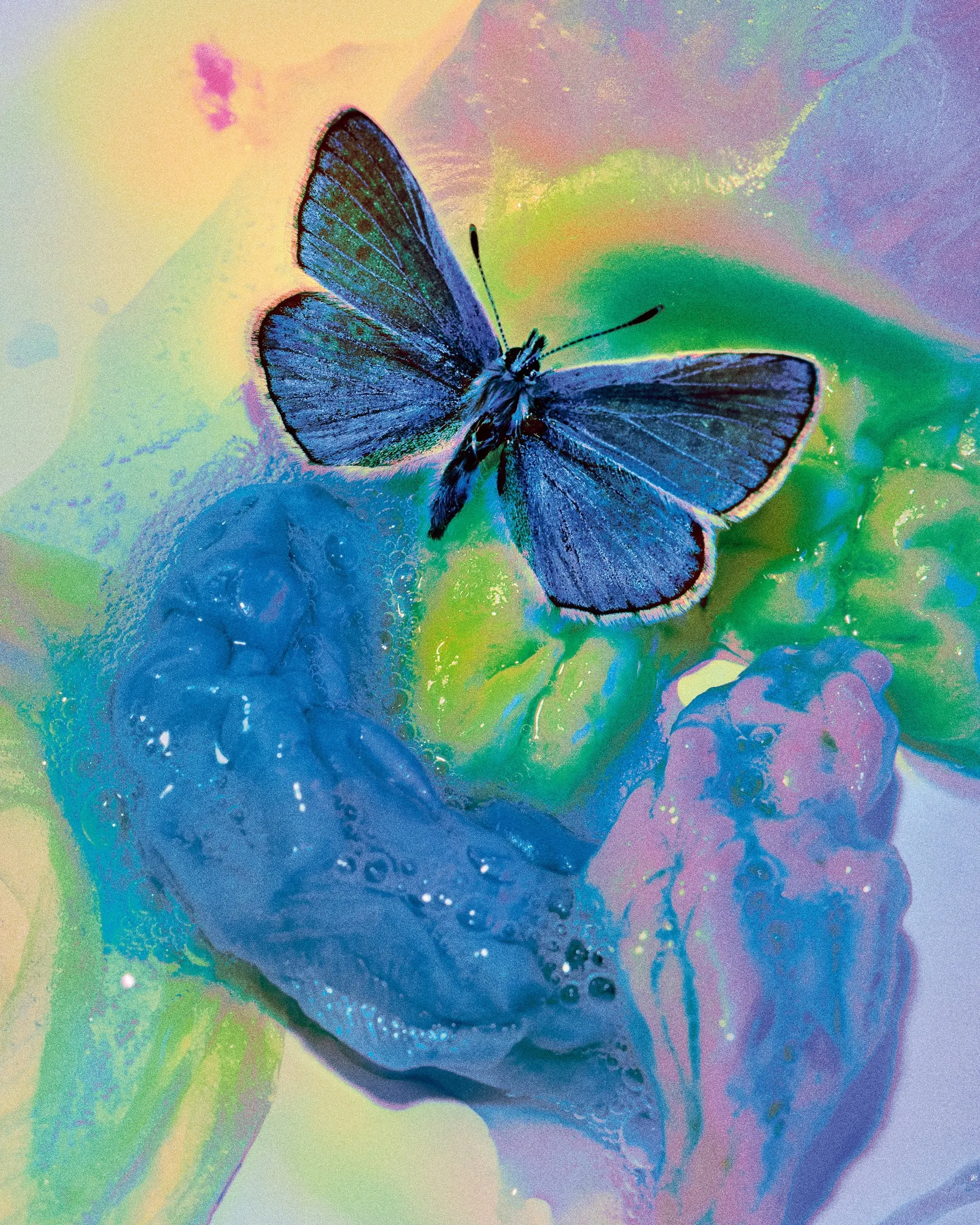 Una mariposa de alas azules sobre una mancha de pintura azul, verde y rosa