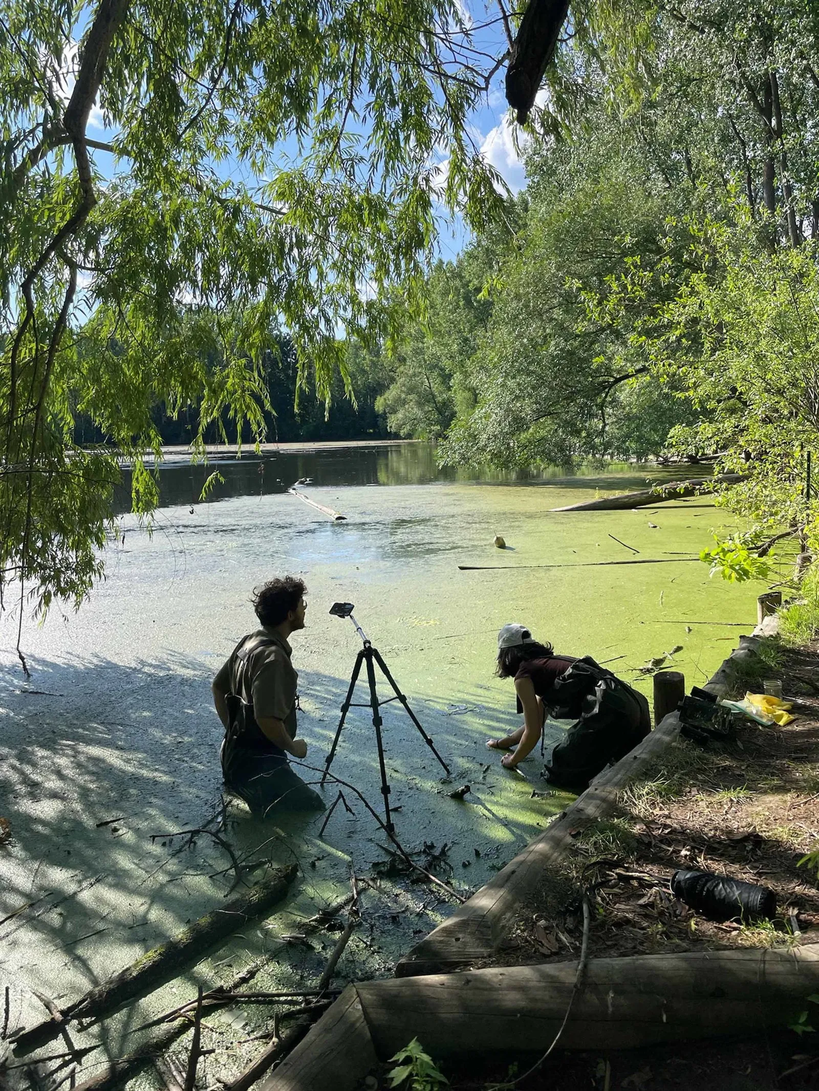 Nik Arthur y Emi Takahashi arrodillados junto a un trípode y una cámara, grabando un pantano cubierto de lentejas de agua verdes