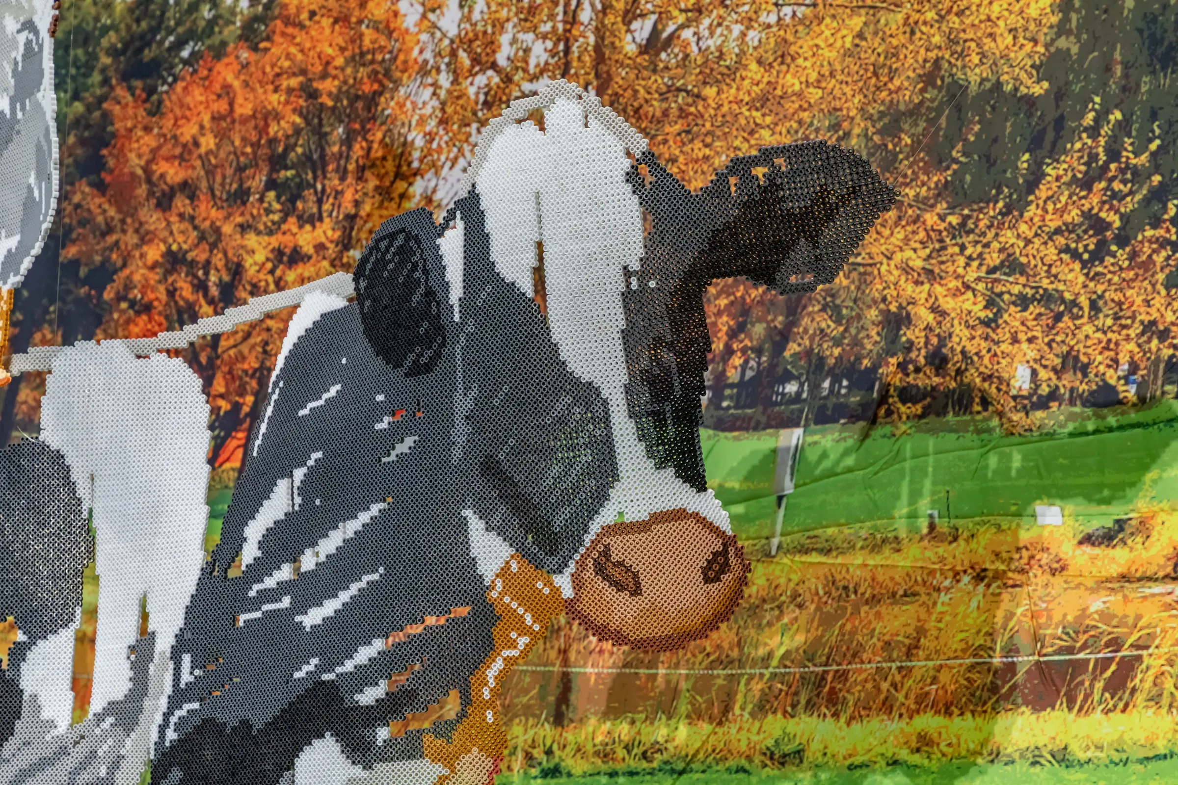 Detalle de la cabeza de una vaca blanca y negra hecha de cuentas de plástico sobre un fondo de árboles de otoño