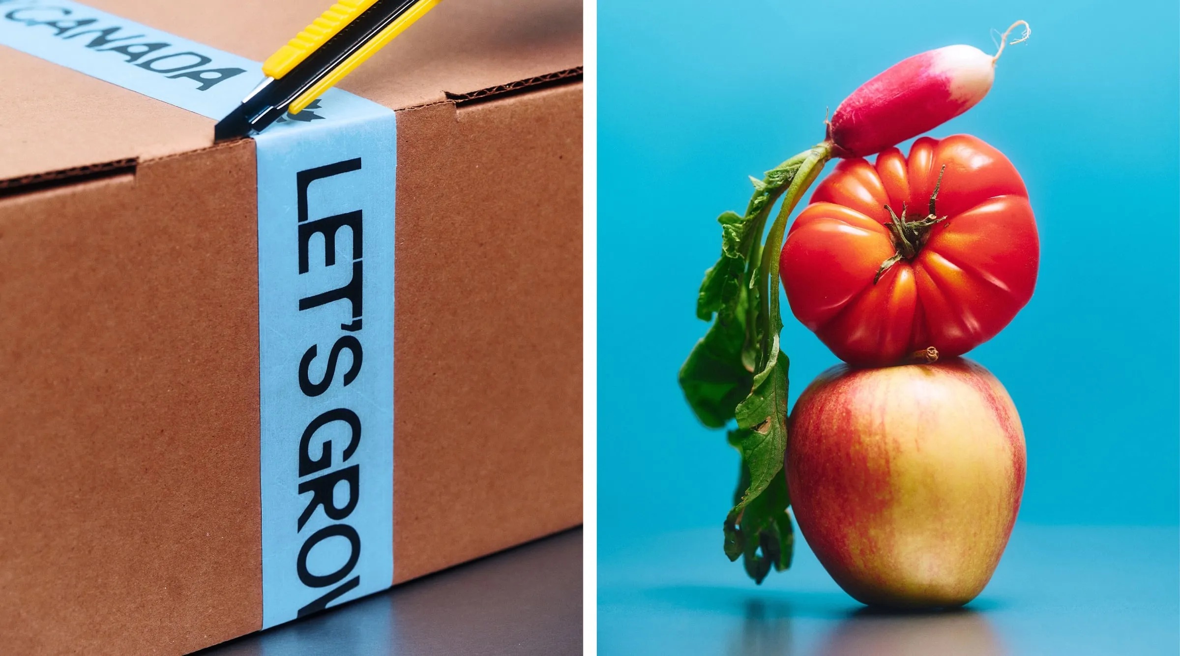 A la izquierda, una caja de cartón con una cinta azul con las letras Let’s Grow Canada; a la derecha, un rábano, un tomate y una manzana apilados