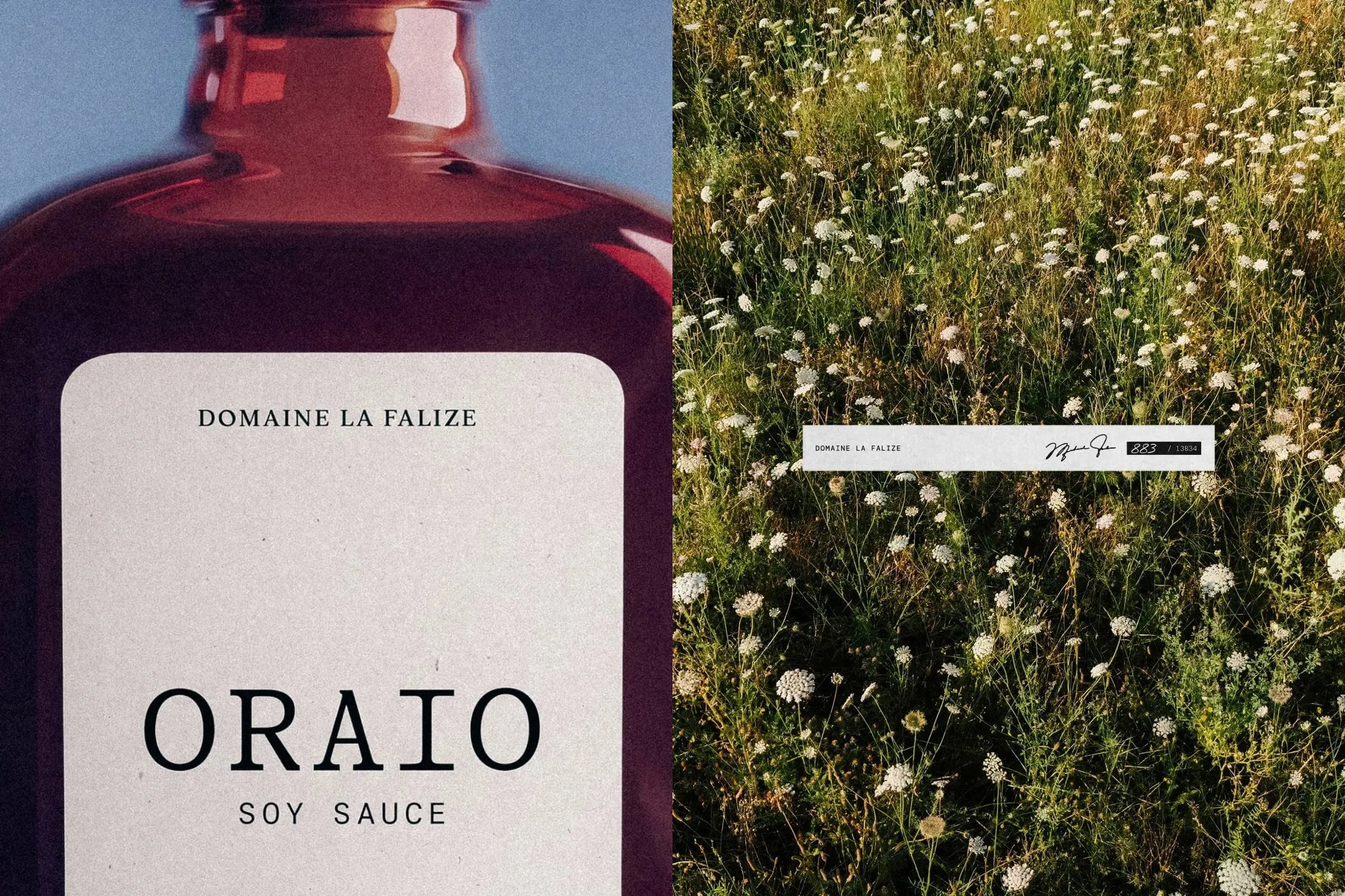 Díptico: primer plano de una botella ámbar con etiqueta crema que dice Oraio Soy Sauce, junto a un campo de flores blancas con una cinta de papel